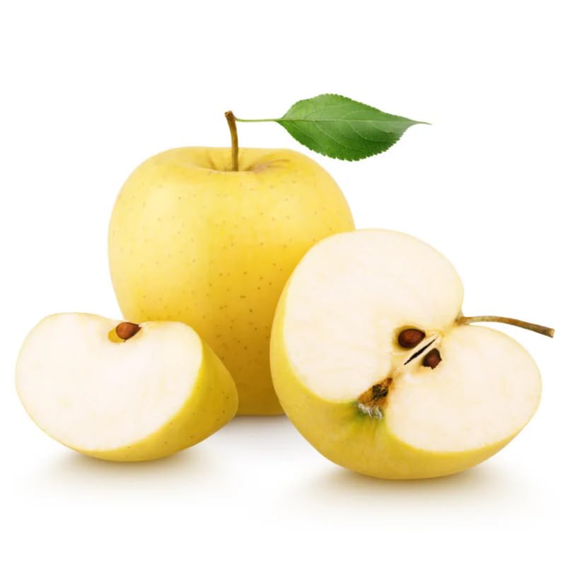 Live Golden Delicious Apple Tree 5 Gallon, Apple Fruit Tree 3 Ft Tall for Backyard Orchard Planting Spring