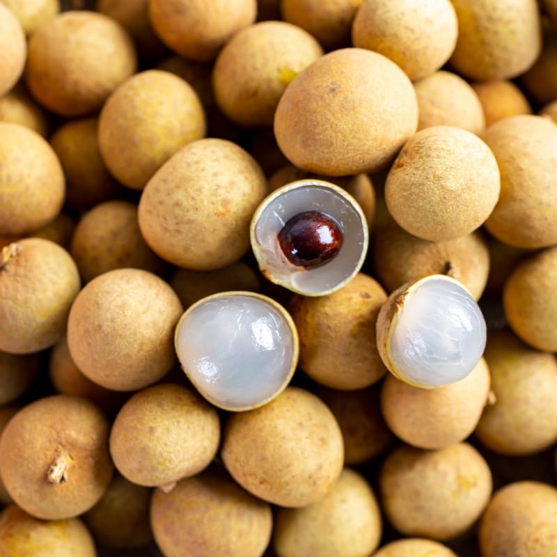 Longan Tree Live Plant, Well Rooted in 3 Gallon Pot, 2 to 3 Feet Tall, Sweet Fruit for Outdoor Growing, No Ship to CA