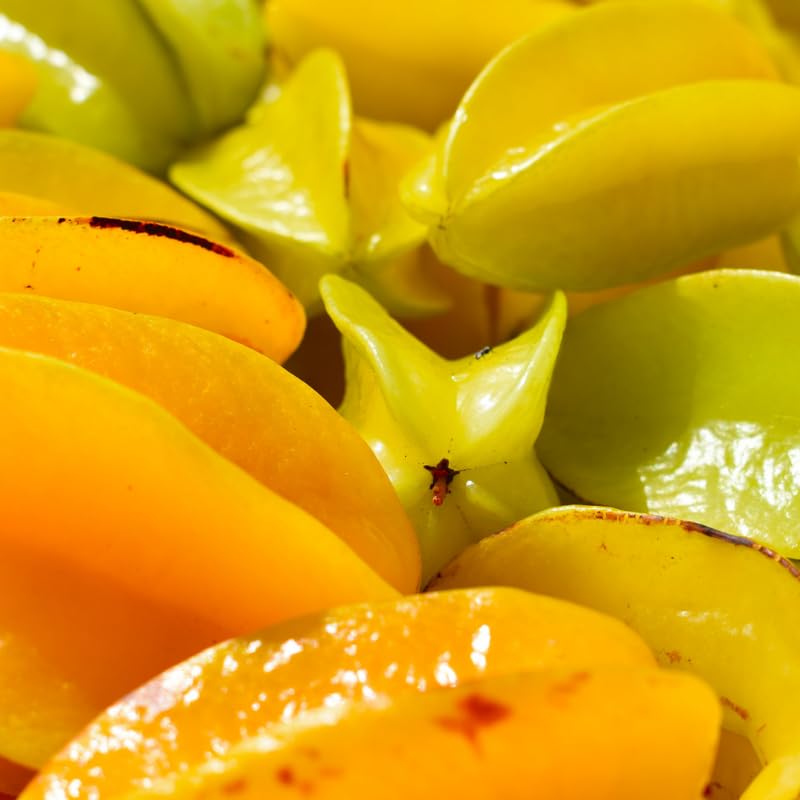 Live Grafted Starfruit Fruit in 1 Gallon, Starfruit Tree Plant in 1 Gallon Pot for Planting Outdoors, No Ship to CA