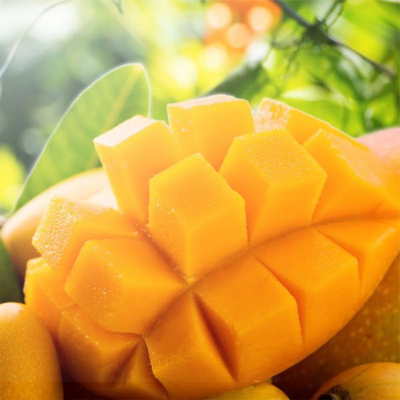 Orange Mango Tree Live Plant for Planting, Grafted Mango Plant in 3 Gallon Pot, Fast Growing Tropical Fruit Tree Seedlings