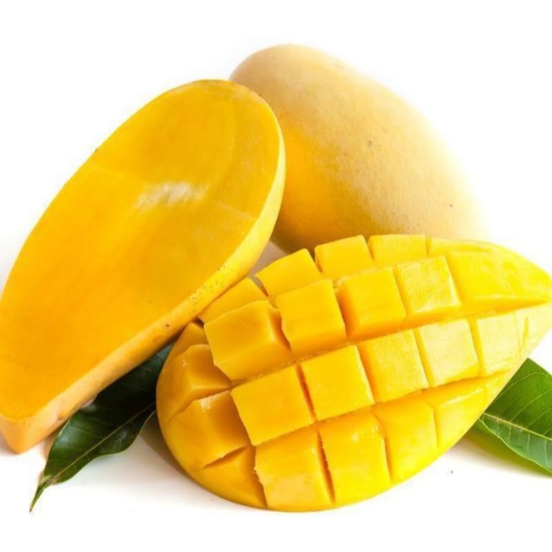 Yellow Mango Tree Live Plant Grafted, 2–3 Feet Tall in 3 Gallon Pot, Sweet Tropical Mango Fruit Tree