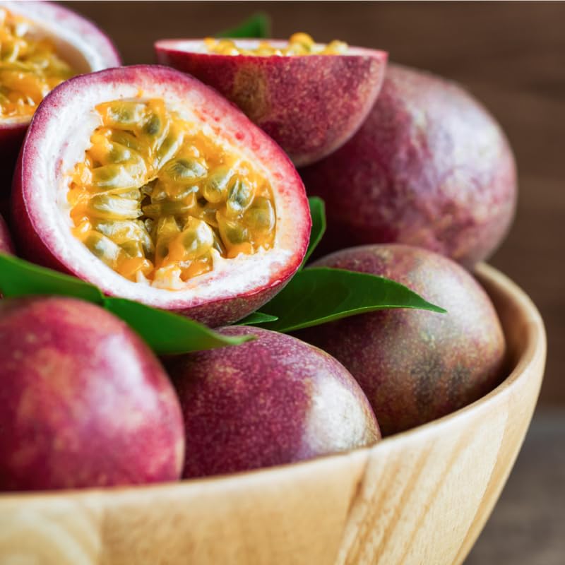 Purple Passion Fruit Tree Live Plant, Passion Fruit Vine Plant, Passionfruit Live Plant, 3 to 5 Inches Tall, Grow The Patio and Garden