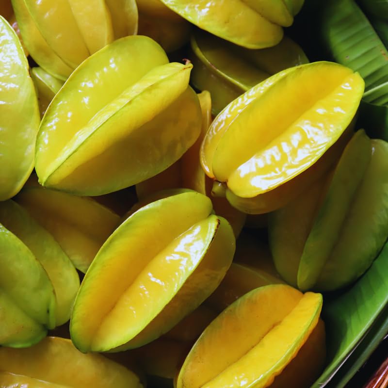 Starfruit Tree Live Plant, Star Fruit Plant Live, 3 Gallon Pot, Hardy Fruit Garden Outdoor, No Ship to CA