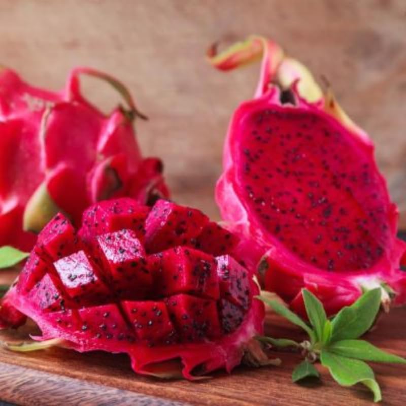 Red Dragon Fruit Plant Live, 1 Gallon Potted Plant, Tropical Cactus Fruit Plant