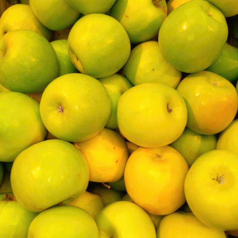 Golden Delicious Apple Tree Live Plant, 3 Feet Tall in 5 Gallon Pot, Ready to Bear Fruit, Spring Tree for Garden Orchard