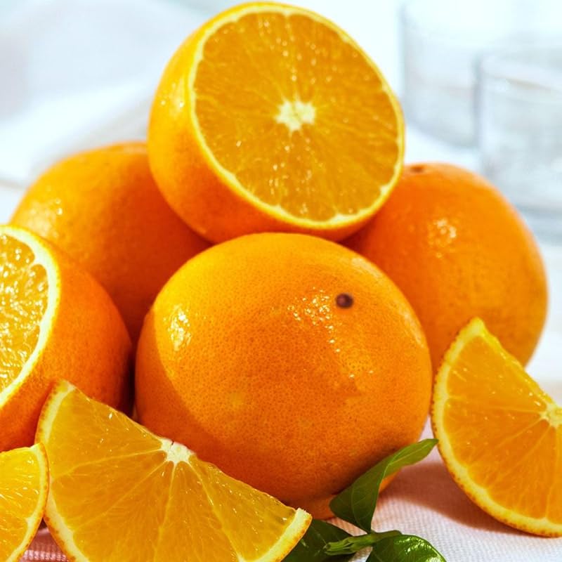 Valencia Orange Tree Live Plant, 4-5 Feet Tall in 5 Gallon Pot, Sweet Citrus Tree for Outdoor Planting