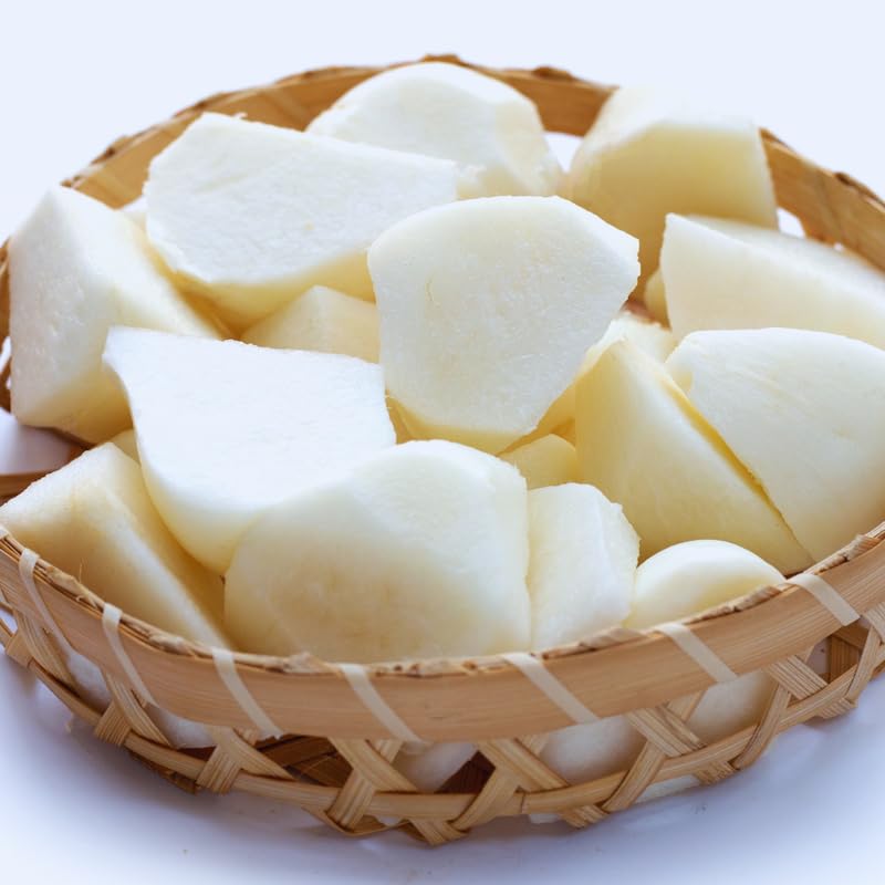 100 Seeds of Jicama Seeds for Planting, Jicama Vegetable Seeds, 100 Seeds
