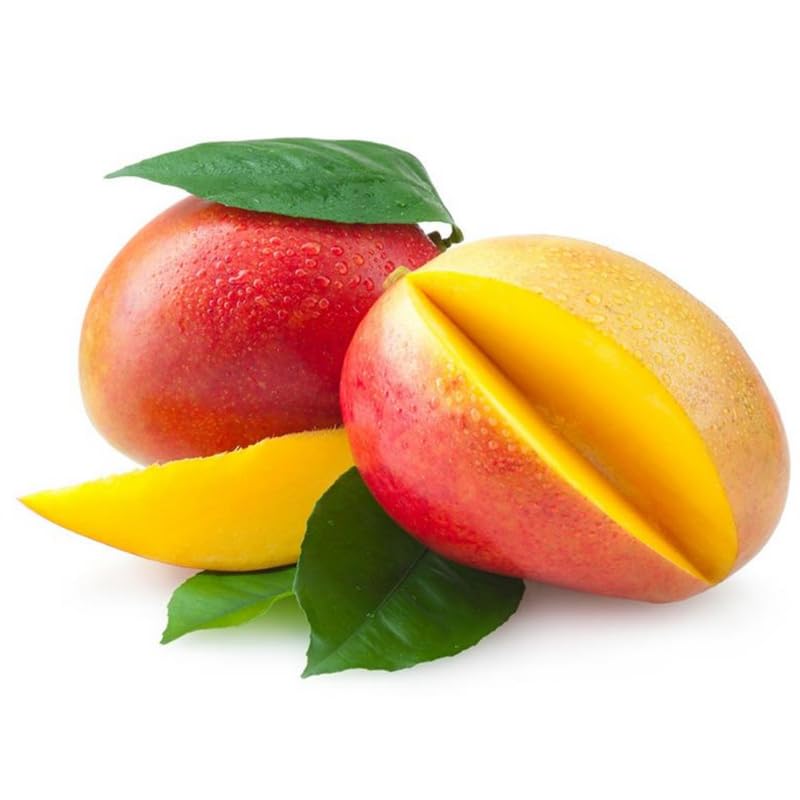 Very Sweet Mango Tree Live Plant for Planting, Grafted Mango Plant in 3 Gallon Pot, Fast Growing Tropical Fruit Tree Seedlings
