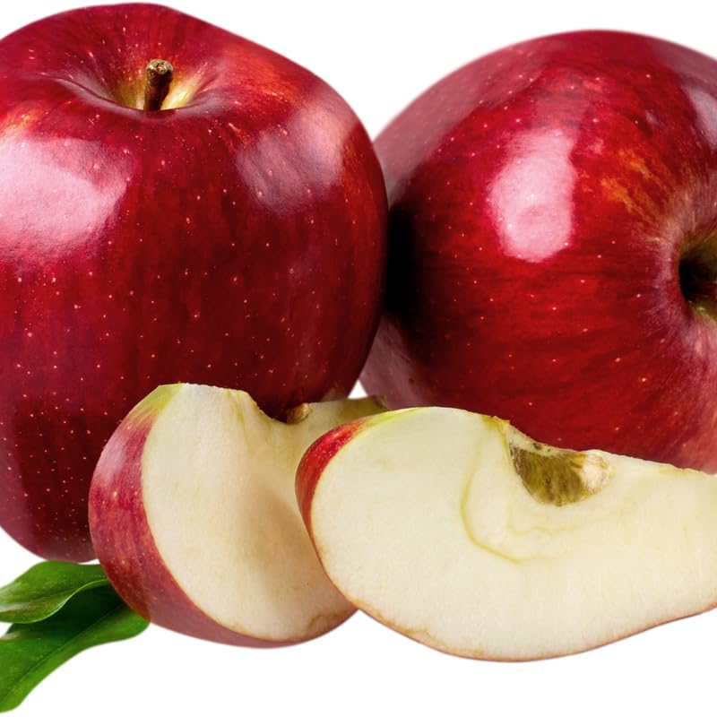 Red Delicious Apple Tree Live Plant, 3 Feet Tall in 5 Gallon Pot, Ready to Bear Fruit, Spring Tree for Garden Orchard