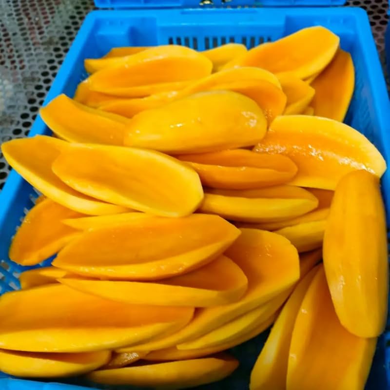 Maha Chanok Mango Tree Live Plant 2.5-3 Ft Tall, Tropical Fruit Tree for Garden Planting, Outdoor Mango Plant in 3 Gallon Pot, No Ship to CA