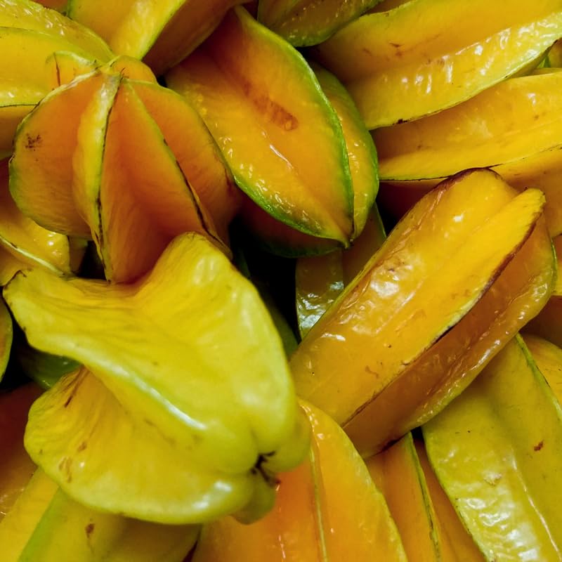 Starfruit Tree Plant Live, Grafted Starfruit Fruit in 1 Gallon Pot for Planting Outdoors, No Ship to CA