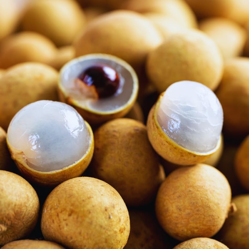 Longan Seeds for Planting Indoor, Sweet Fruit Longan Seeds, 60 Seeds