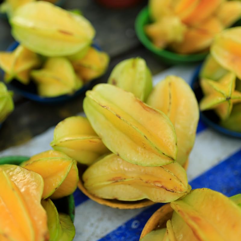 Starfruit Tree Plant Live, Grafted Starfruit Fruit in 1 Gallon Pot for Planting Outdoors, No Ship to CA
