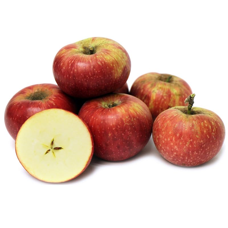 Pink Apple Tree Plants, Bare Root 2-3 Ft Tall, Apple Tree Plant Live for Planting Outdoors