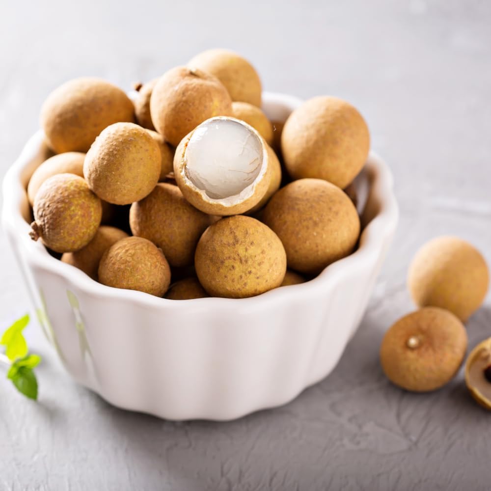 Longan Tree Live Plant, Longan Plants Well Rooted, Tropical Fruit Tree Outdoor Garden 2 Ft Tall in Gallon Pot, No Ship CA