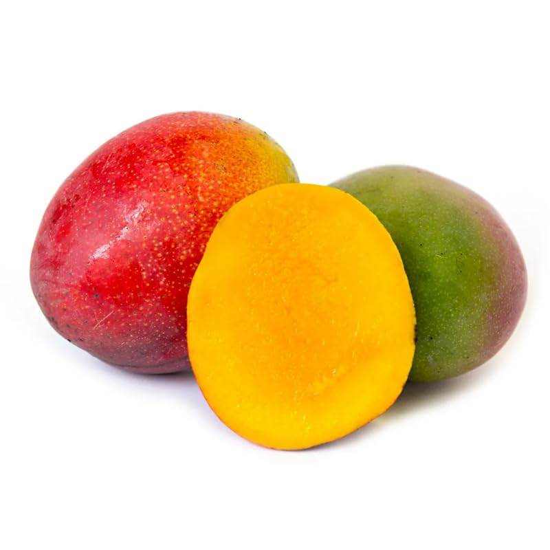 Red Yellow Mango Tree Live Plant, Fully Rooted in 3 Gallon Pot, Tropical Mango Fruit Tree for Indoor or Outdoor Growing