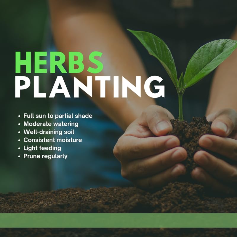 Set 4 Assorted Herb Live Plants, Fragrant and Edible Herbs Packs (Lemon Balm, Mint, Basil, Rosemary and Other Herb Varieties), Well Rooted 4-6'' Tall