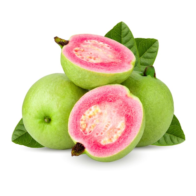Pink Guava Tree Live Plant in 3 Gallon Pot, Fragrant and Edible Guava Fruit Bearing Tree from 2 to 3 Feet Height, No Ship to CA