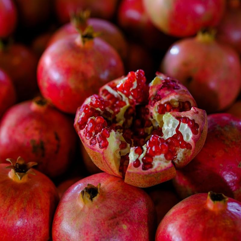 Sweet Pomegranate Tree Live Plant for Planting Outdoor, Red Pomegranate Plant 1 Gallon Pot, Sweet Edible Fruit Tree 24-30" Tall, No Ship to CA