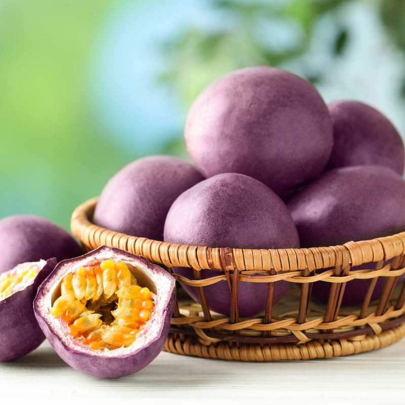 Purple Passion Fruit Plant, Passion Fruit Vine in 1 Gallon Pot for Planting Outdoors, No Ship to CA