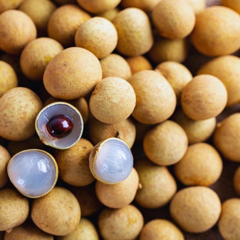 Longan Seeds for Planting Indoor, 40 Seeds, Sweet Fruit Seeds, 40 Seeds