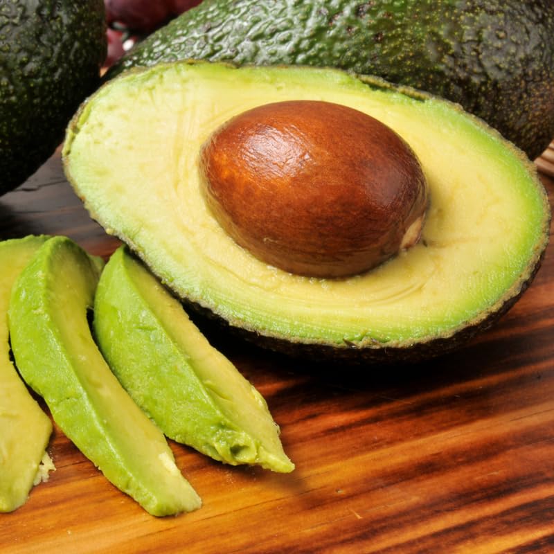 HASS Avocado Tree Live Plant in 3 Gallon Pot, 1-2 Feet Tall, High-Yield Grafted Avocado Fruit Tree for Planting, No Ship to CA, Very Hardy