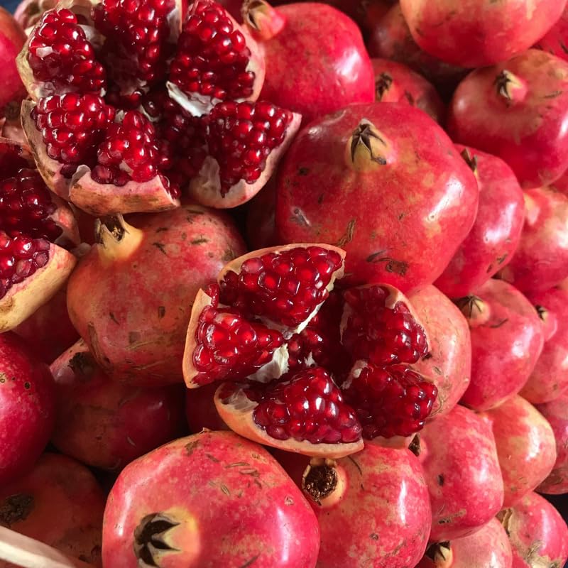 Pomegranate Tree Live Plant, 2-3' Tall in 3 Gallon Pot, Pomegranate Plant Live, Cold Hardy for Planting, No Ship to CA