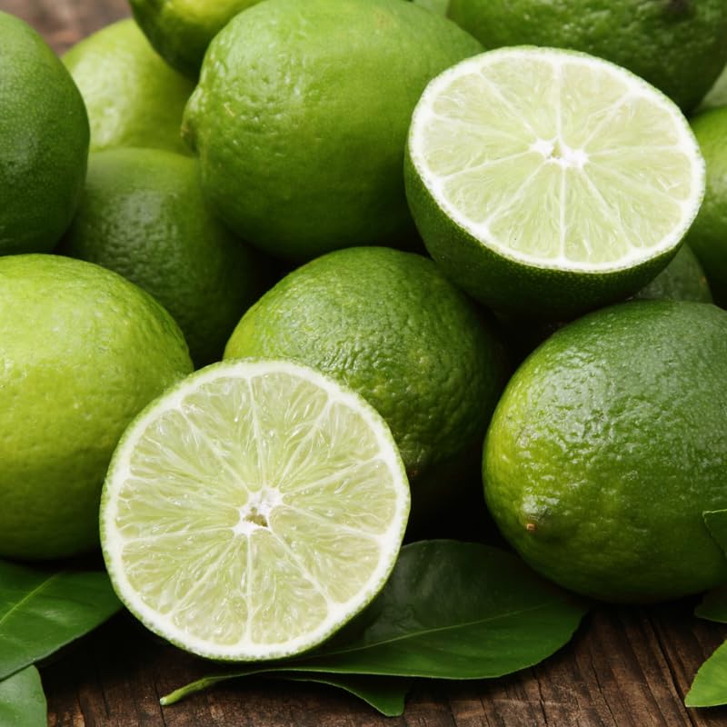 Seedless Lime Tree Live 3 Feet Tall, Potted Lime Fruit Tree Seedlings in 5 Gallon Pot, Citrus Plant for Indoor or Outdoor