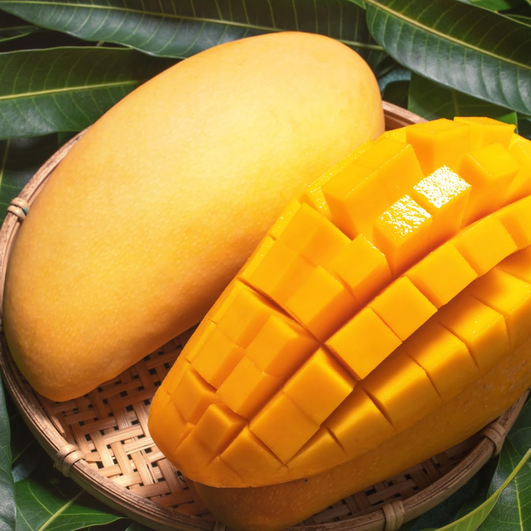 Mango Tree Live Plant, Sweet Mango Plant, Tropical Fruit Tree in 3 Gallon Pot for Outdoor Planting (Lemon Mango Tree)