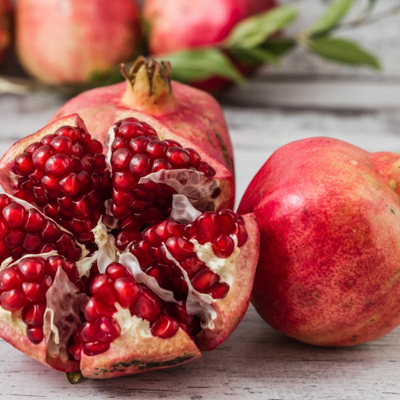 Pomegranate Plant Live, 1-2 Feet Tall, Red Pomegranate Live Plants, Tropical Fruit Tree for Outdoor Indoor Planting, High Yield, Live Cherry Tree in 1 Gallon Pot, Well Rooted, No to CA
