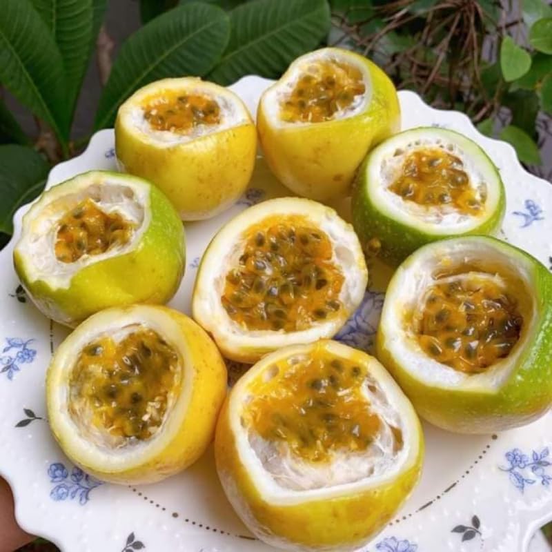 Yellow Passionfruit Tree Live Plant, Passion Fruit Vine Plant, 4-8 Inches Tall, Outdoor Planting, Very Fast-Growing Vines
