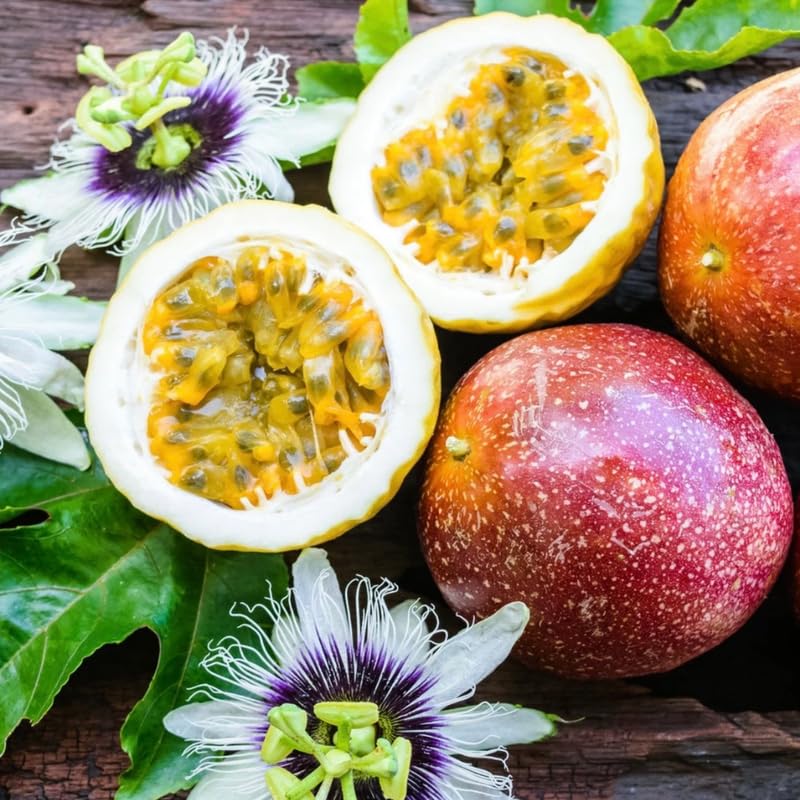 Passion Fruit Plant Live, Passionfruit Vine Live Plant Fully Rooted in 1 Gallon Pot