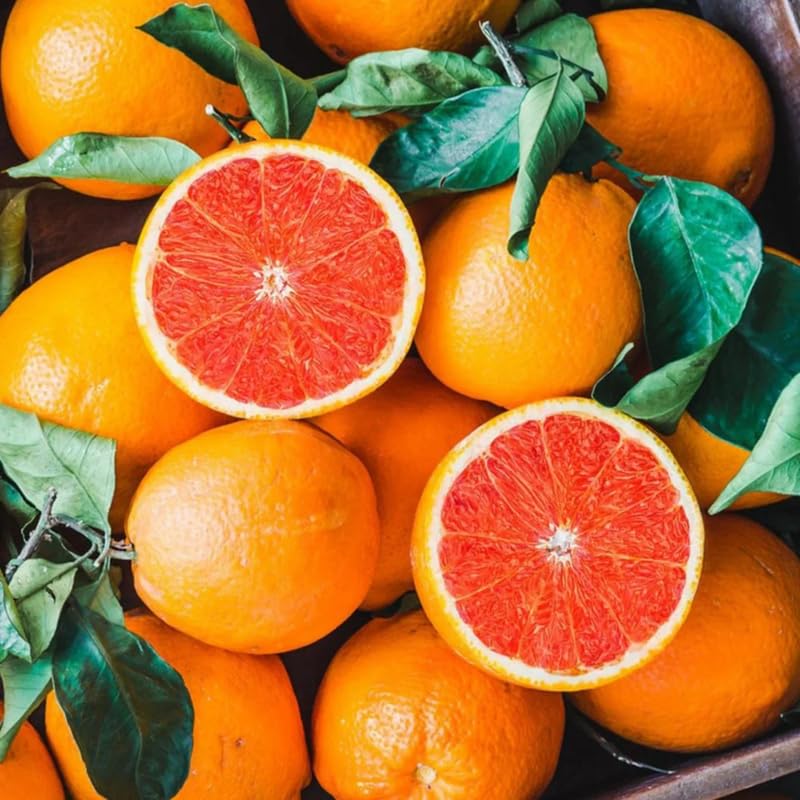 Navel Orange Tree 3-4 Feet Tall, Live Citrus Fruit Tree in 5-Gallon Pot, Hardy Outdoor Sweet Orange Fruit Plant