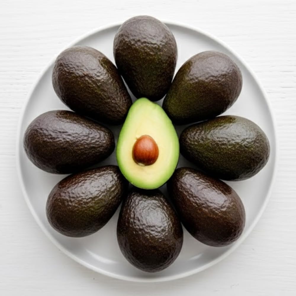 Avocado Tree Live Plant, Black Avocado Plants Live in 3 Gallon Pot, Cold Hardy Fruit Tree for Outdoor Planting