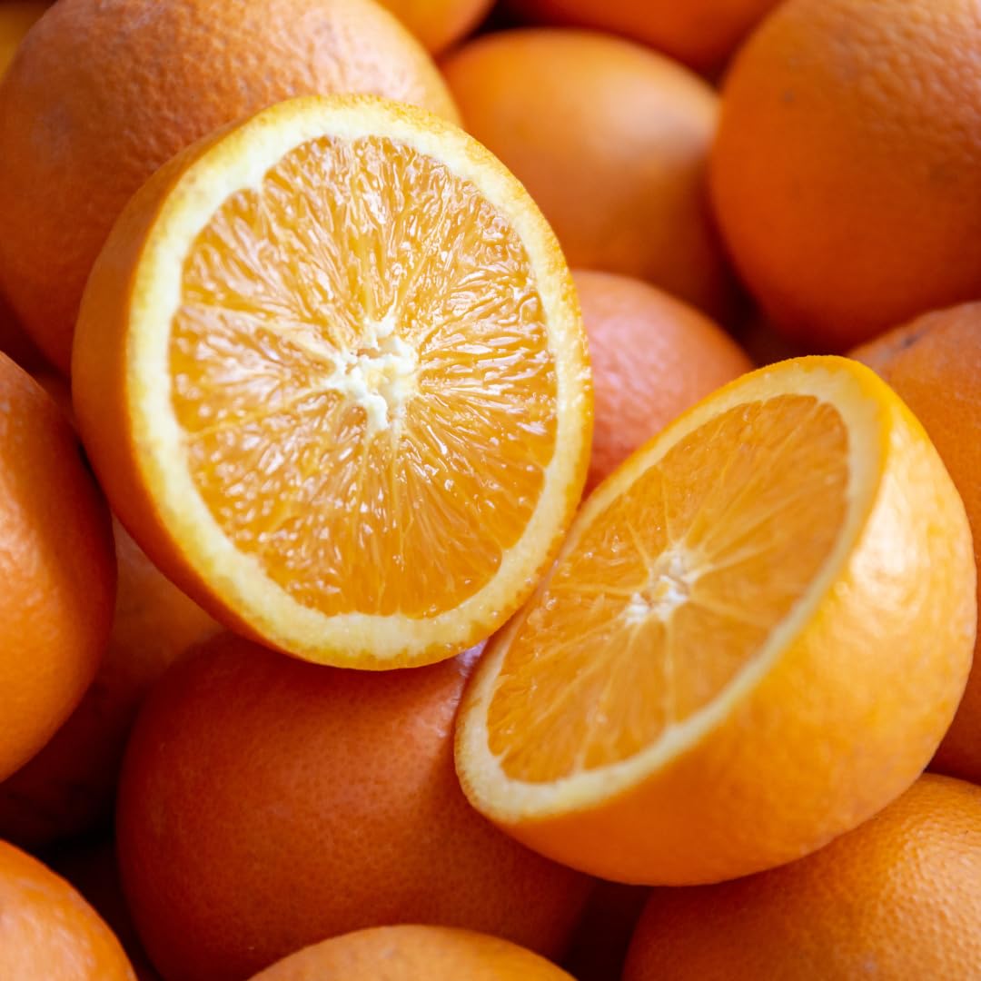 Valencia Orange Plant Live, Orange Tree, Sweet Citrus Tree, 4-5 Feet Tall in 5 Gallon Pot for Growing