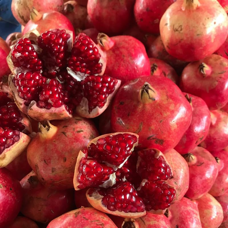 Pomegranate Tree Live Plant - 3-4 Ft Tall in 3 Gallon Pot - Large Pomegranate Fruit Tree for Outdoor Garden and Landscape, No Ship to CA