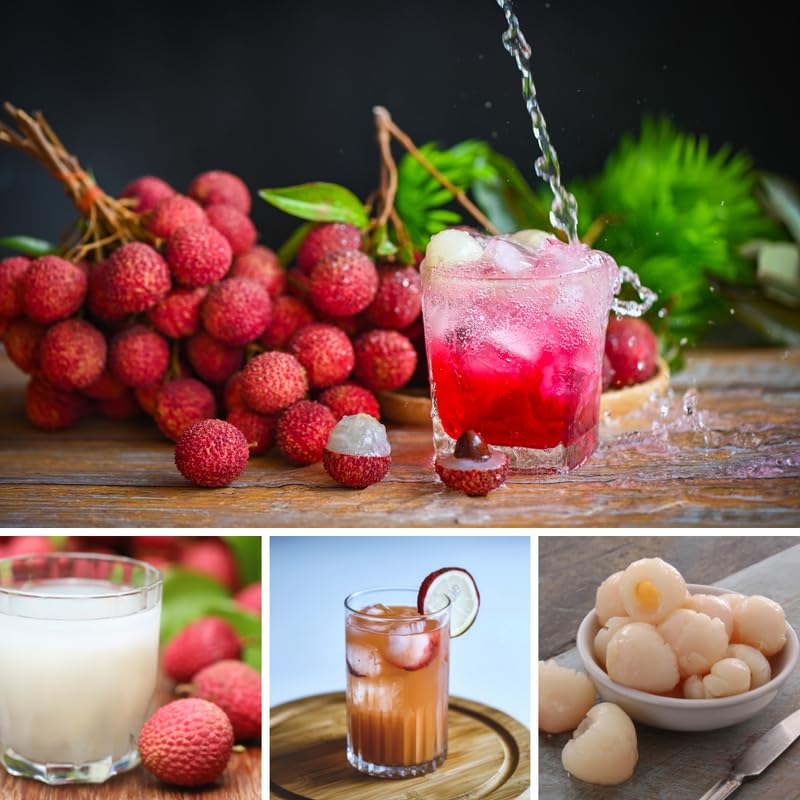 Sweet Lychee Tree Live Plant, Lychee Tree, Hardy Tropical Fruit Live Plant, 2-3' in Height 3 Gallon Pot for Planting, No Ship to CA