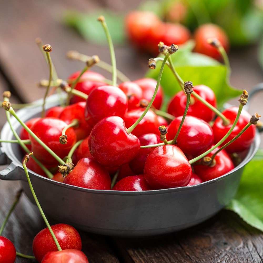 Cherry Trees Live Plants, Bright Red Sweet Black Cherry Tree, Well Rooted in 3 Gallon Pot, 3-4 Feet Tall, Hardy Cherry Fruit Tree Live Plant for Outdoor Garden, No Ship to CA