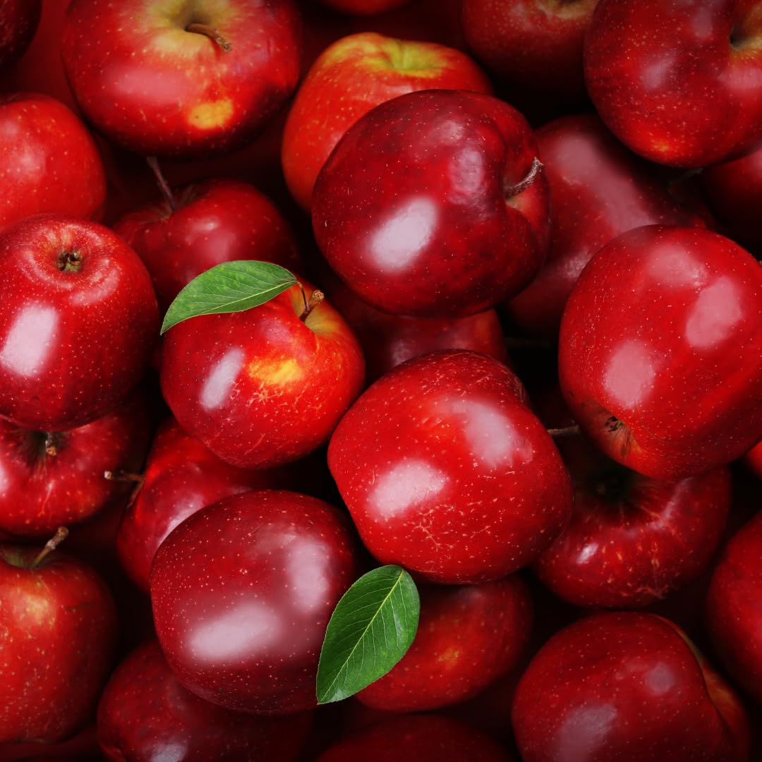 Live Delicious Apple Tree Plant, Sweet Apple Fruit Tree 2-3 Feet Tall in 3 Gallon Pot, Hardy Outdoor Tree, Ready for Planting, No Ship to CA (Red Apple)