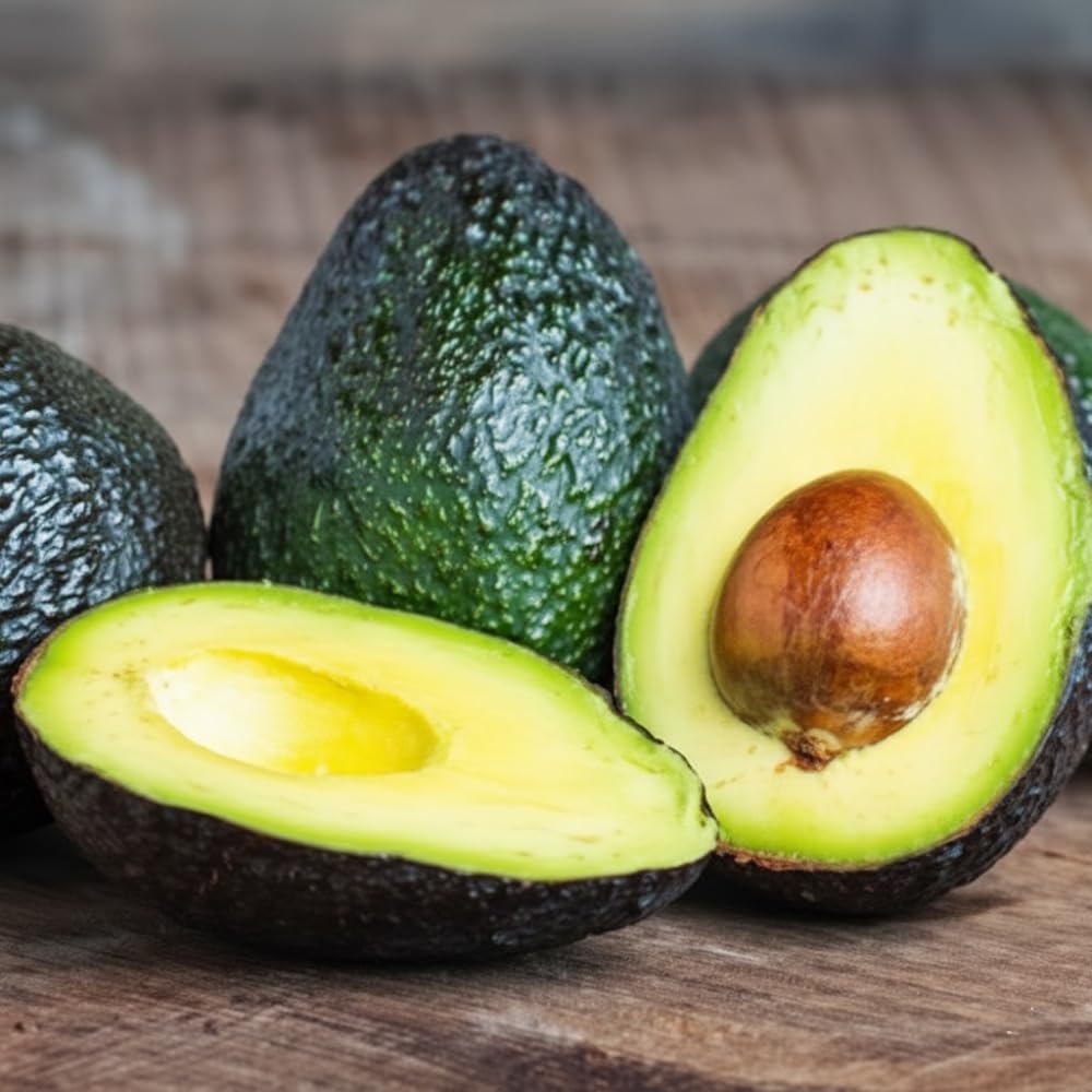 Avocado Tree Live Plant, Black Avocado Plants Live in 3 Gallon Pot, Cold Hardy Fruit Tree for Outdoor Planting