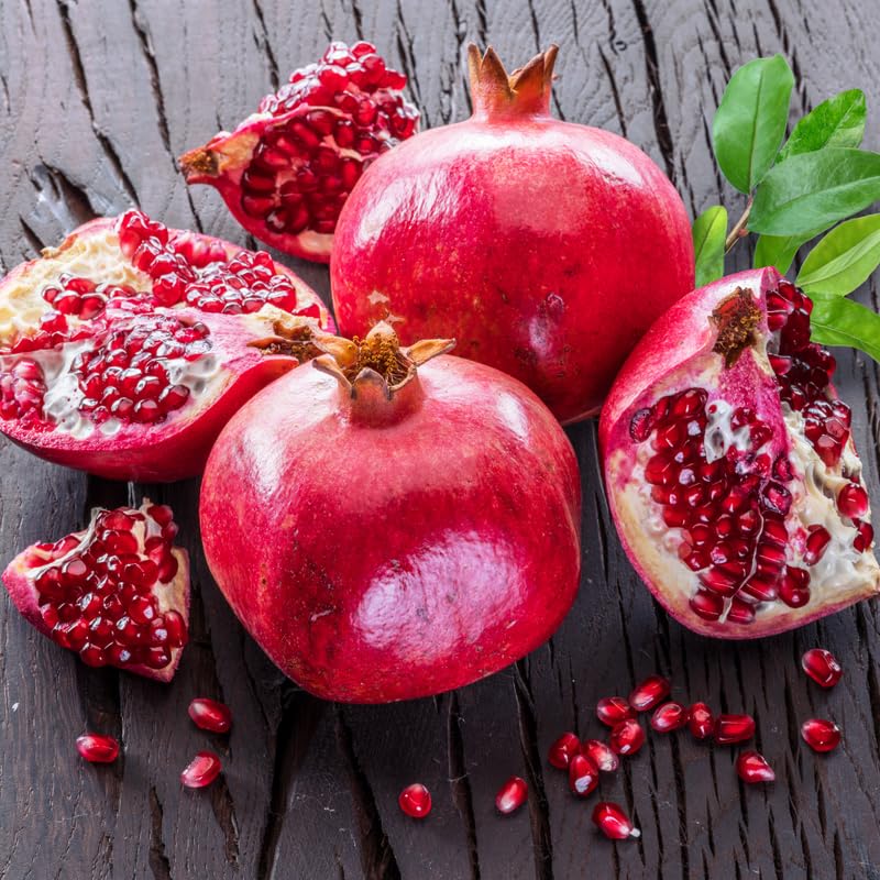 Pomegranate Tree, 1-2 Ft Tall in 1 Gallon Pot - Sweet Pomegranate Fruit Tree for Outdoor Garden, Patio and Container Growing, No Ship to CA