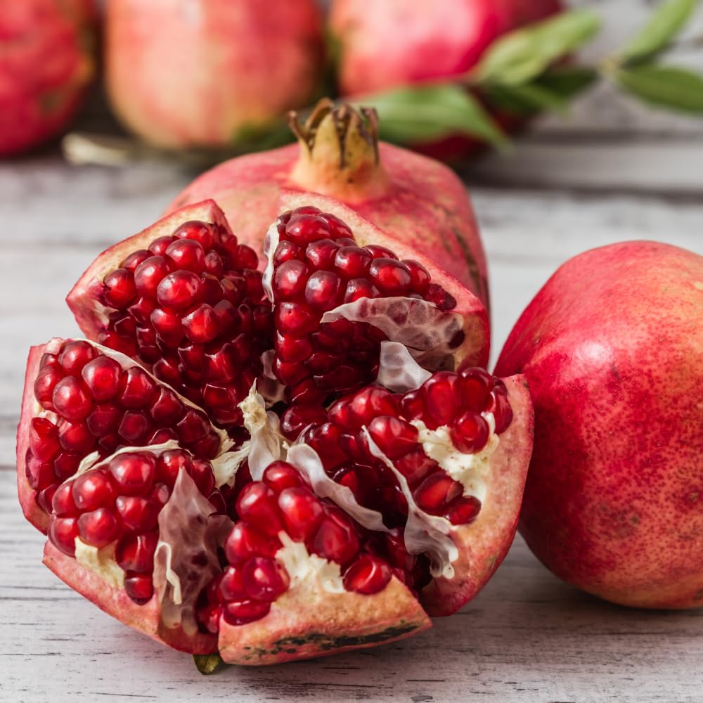 Pomegranate Tree Live Plant 2-3 Feet Tall in 3 Gallon Pot, Hardy Red Fruit Tree for Garden and Landscape Planting, No Ship to CA