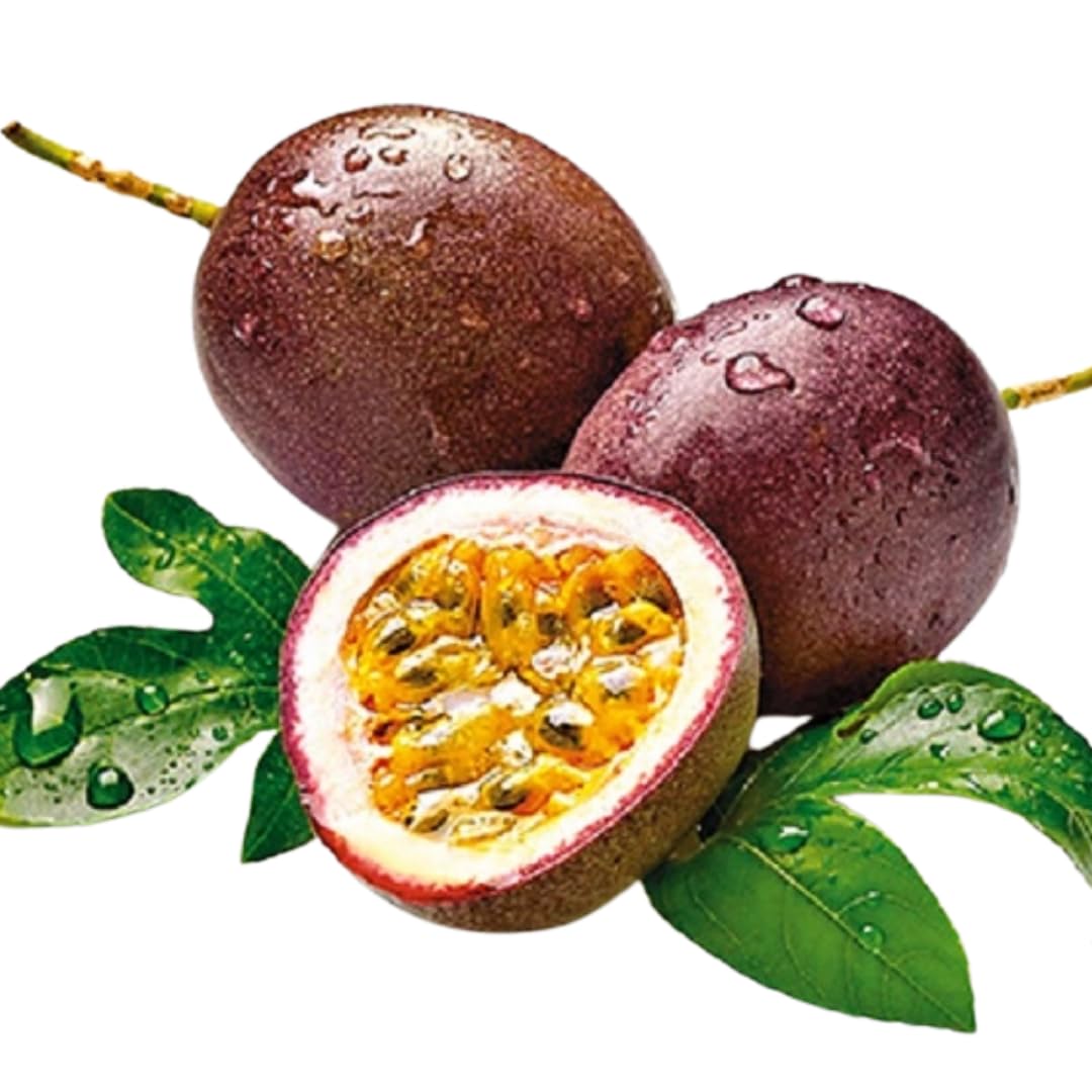 Set 2 Purple Passion Plants Live, Passion Fruit Vine Live Plant, 4 to 6 Inc Long