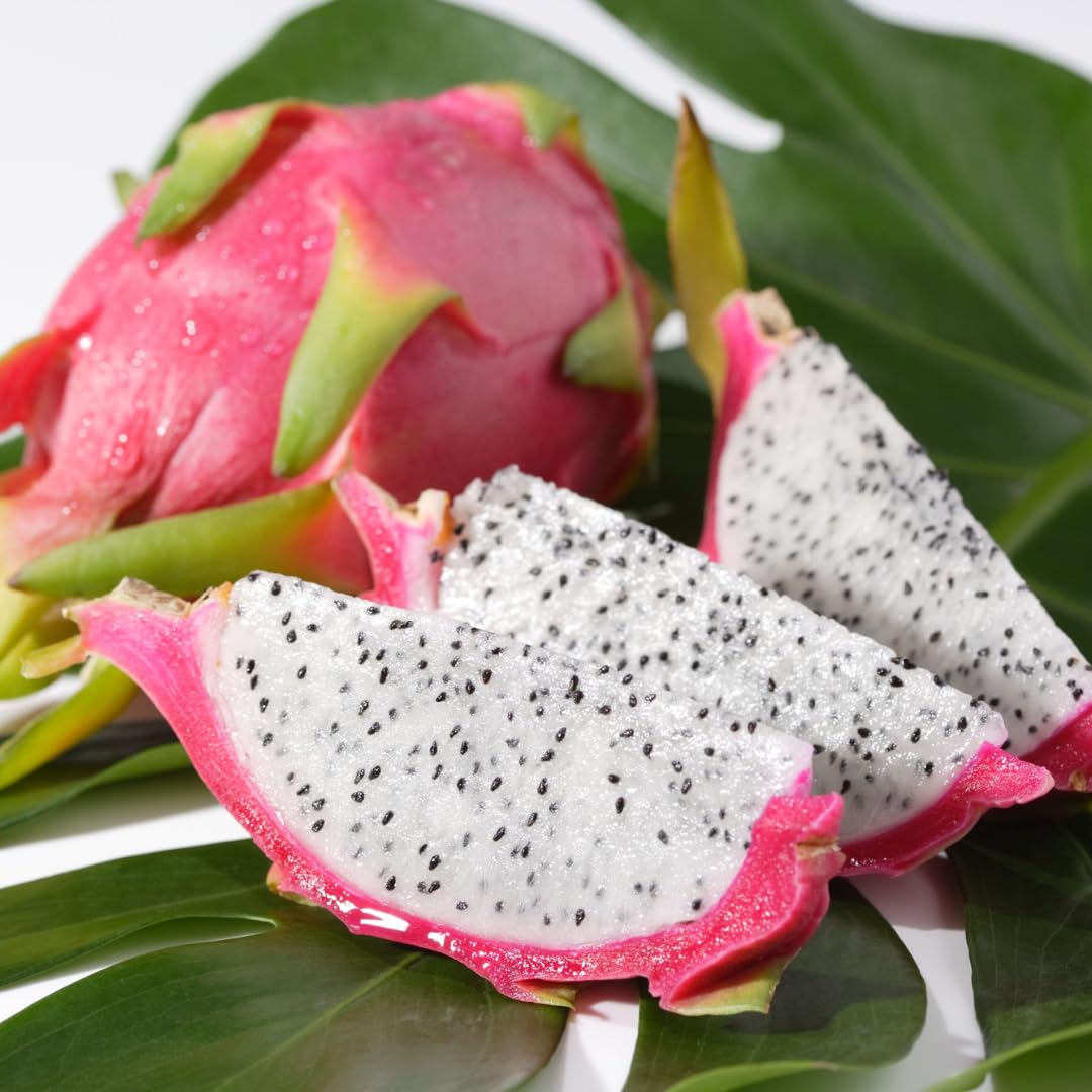 Live Dragon Fruit Plant, Sweet Dragon Fruit Vine Plant, Tropical Plant,1 Gallon Potted for Growing (White)