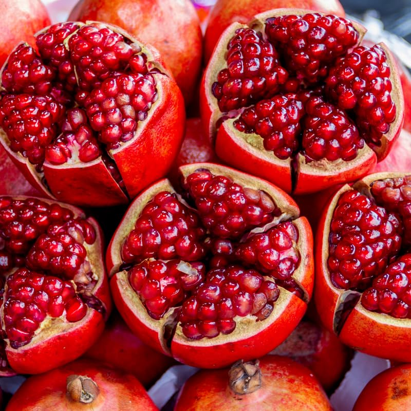 Live Pomegranate Tree, Sweet Pomegranate Fruit Tree in 1 Gallon Pot for Planting Outdoors, No Ship to CA