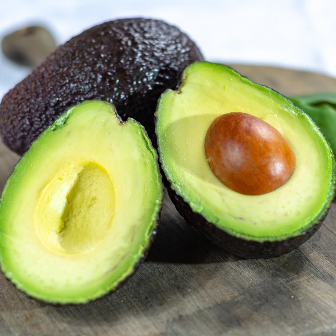 Avocado Tree Live Plant Up to 8 Months Old, 6-12 Inches Tall, Cold Hardy, Smooth and Sweet Tropical Fruit Trees for Zones 5-11