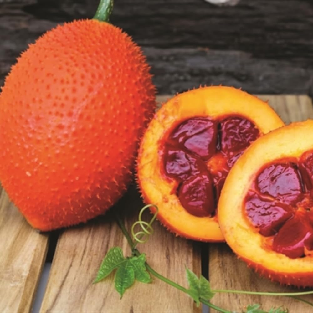 10 Rare Gac Fruit Seeds for Planting, Melon Vine Tropical and Fast-Growing for Outdoor Planting