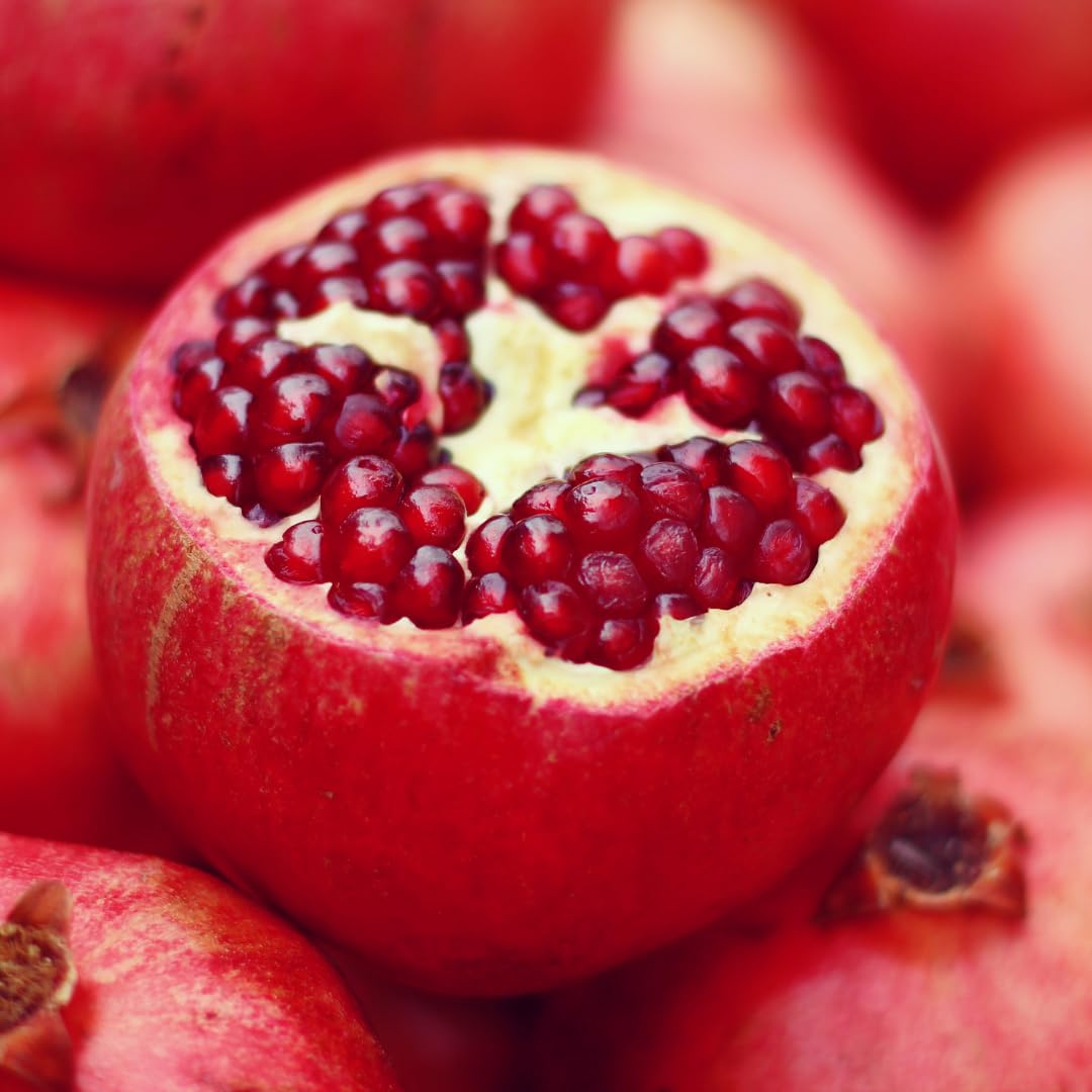 Pomegranate Plant Live, Sweet Pomegranate Fruit Tree, Tropical Fruit Plant, 4-7 Inches Tall, Ready for Growing, No Pot