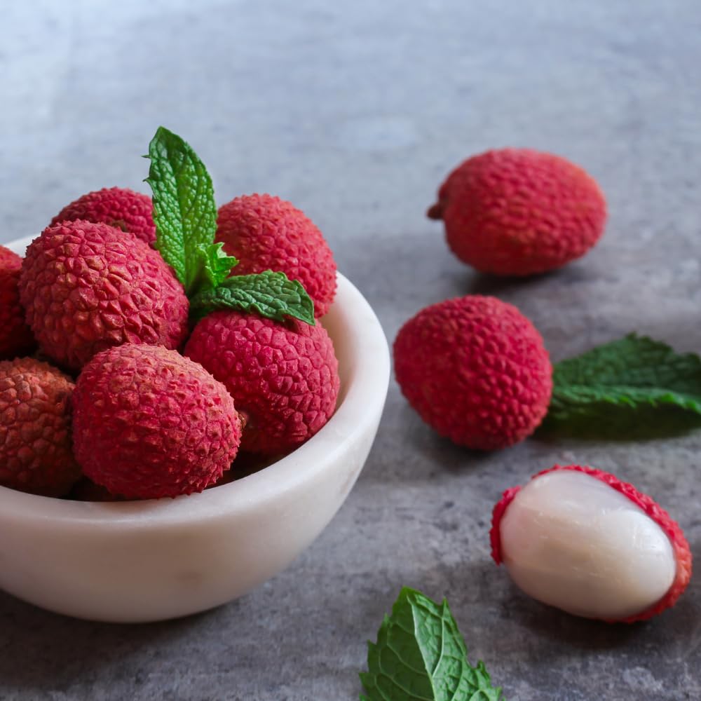 Airlayered Lychee Fruit Tree in 3 Gallon Pot, Litchi Plant Live 2 to 3 Feet Tall Well Rooted, Outdoor Planting, No Ship to CA