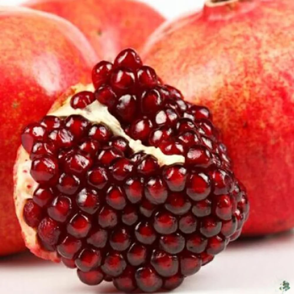 Red Pomegranate Tree Live Plant, 2 Feet Tall, Sweet Fruit Tree Plant, Pomegranate Plant Live, No Ship to CA